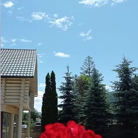 아파트 Golden Lemon *